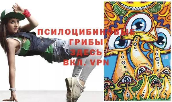 герыч Алзамай