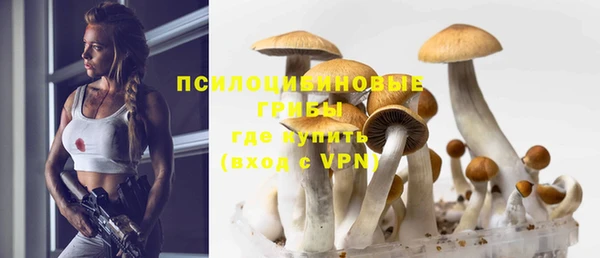 герыч Алзамай